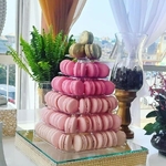 Daibert Macarons